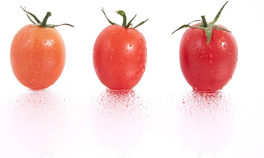 Trois tomates Dolcina à différents stades de maturité